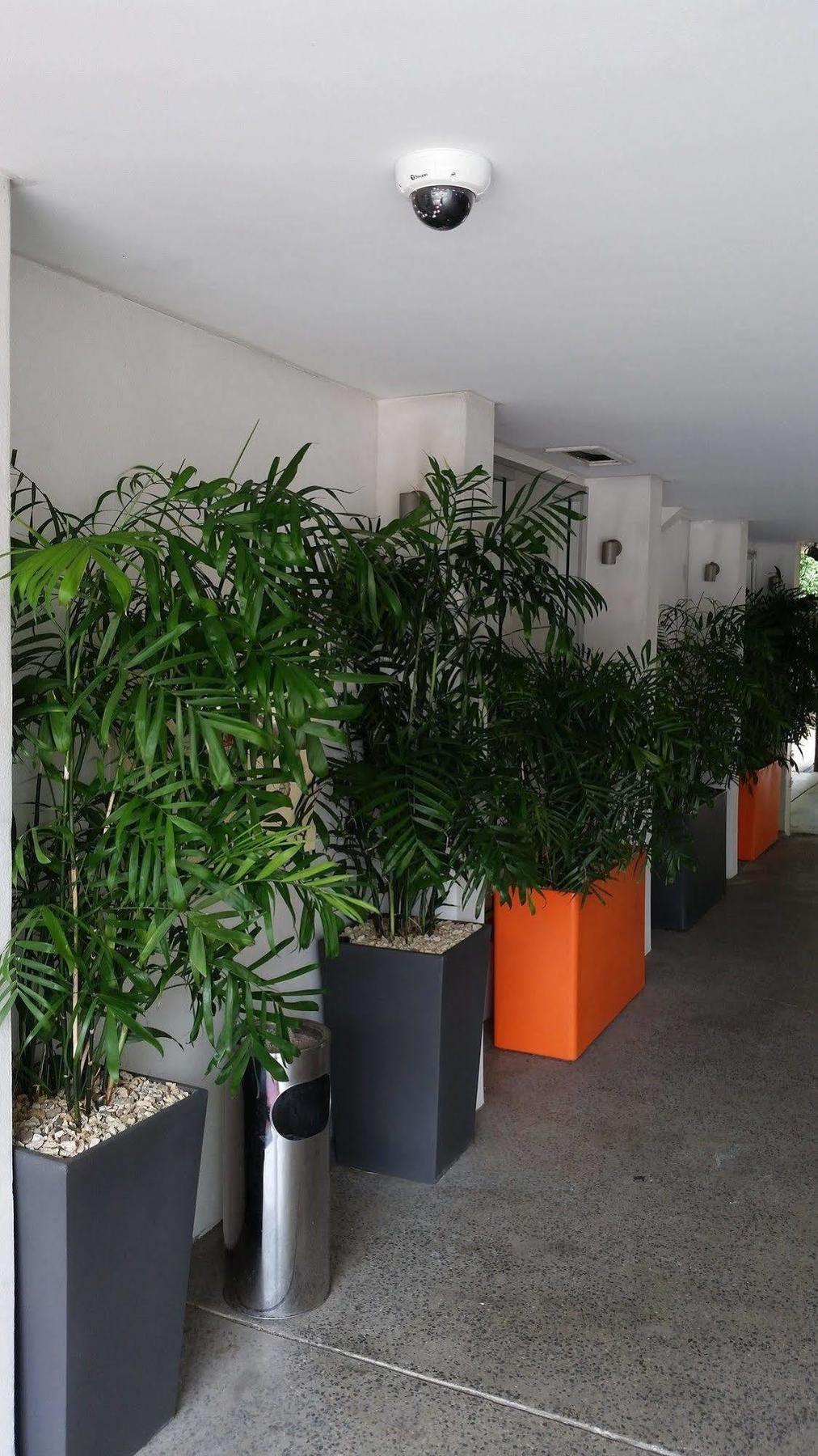 Airport Heritage Motel Бризбейн Екстериор снимка